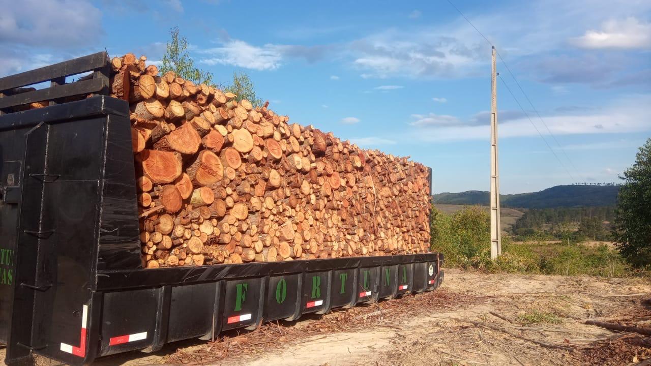 Logística Rodoviária